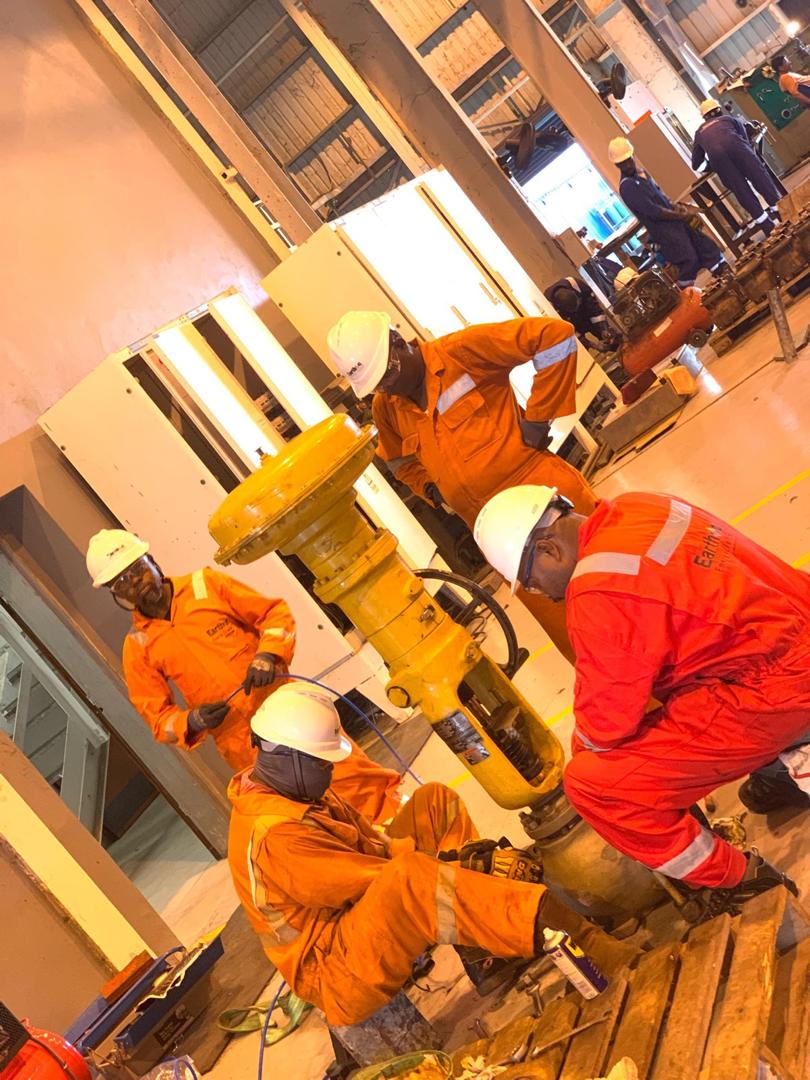 Earthoc workshop and field training
