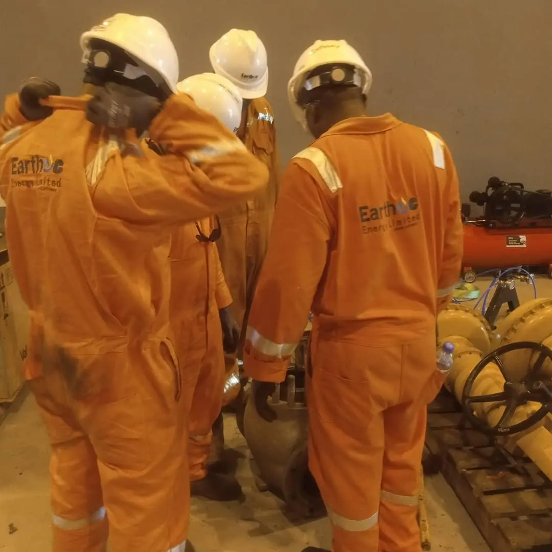 Earthoc workshop and field training